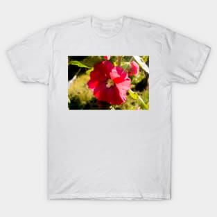 11118 hollyhock T-Shirt